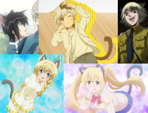 Examples of anime cat boys.