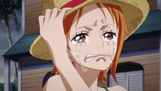 NAMI CRIES FOR LUFFY!!