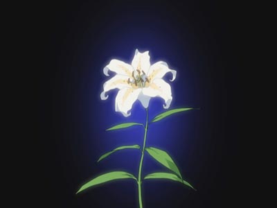 A "lily" flower, called yuri 百合 in Japanese.