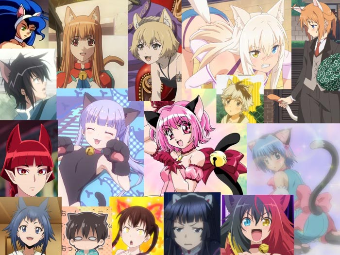Examples of nekomimi 猫耳, "cat ears," in anime.