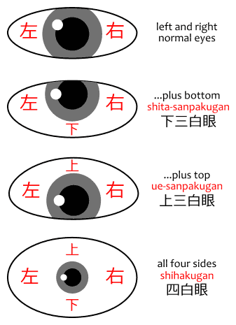 Diagram showing the difference between sanpaku eyes, shita-sanpakugan 下三白眼, ue-sanpakugan 上三白眼, and shihakugan 四白眼.