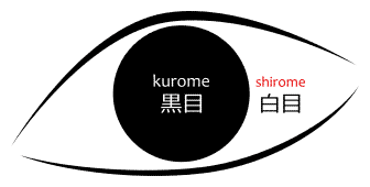 Diagram of shirome 白目 and kurome 黒目.