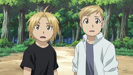 Edward Elric エドワード・エルリック, and Alphonse Elric アルフォンス・エルリック, example of brothers one having tsuri-me ツリ目, and the other tare-me タレ目.